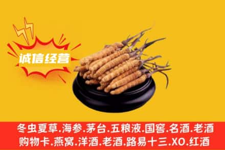 安康市回收冬虫夏草